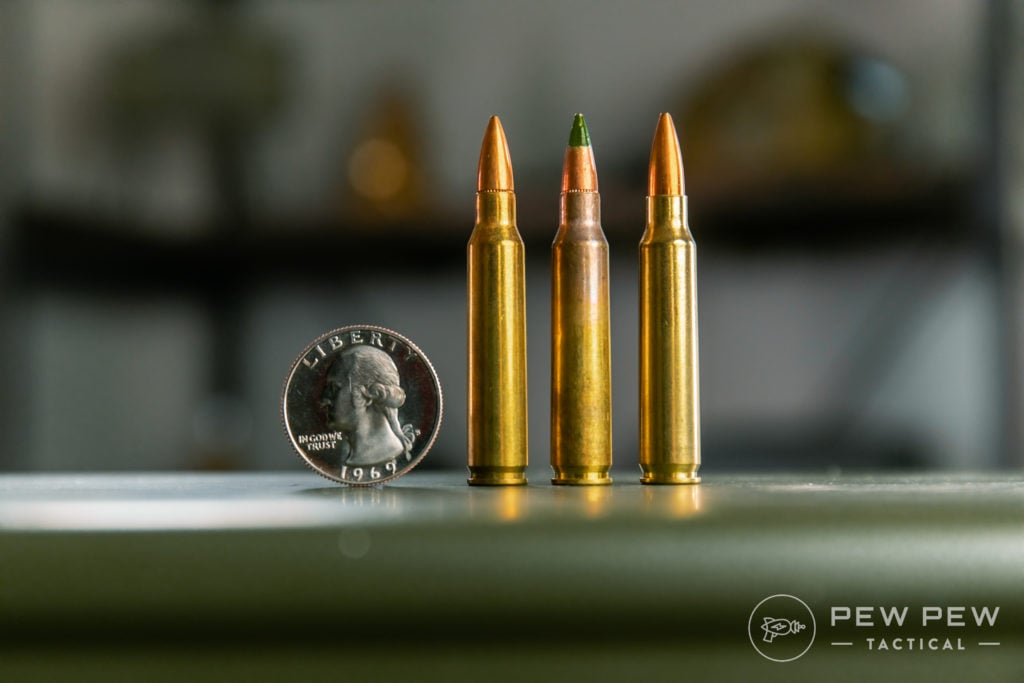 Assorted 5.56 Rounds (XM193, XM855, Gold Medal 69gr)