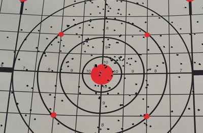 7.5 Birdshot at 10 Yards