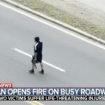 Armed Citizen Stops Cambridge Rifle Rampage