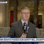 Minnesota Senate Passes Sweeping Gun Ban